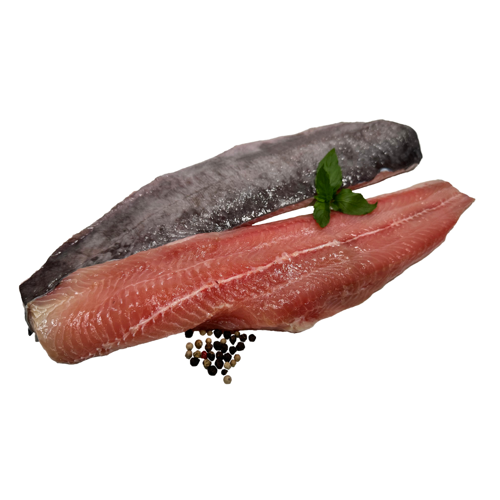Premium Welsfilet mit Haut