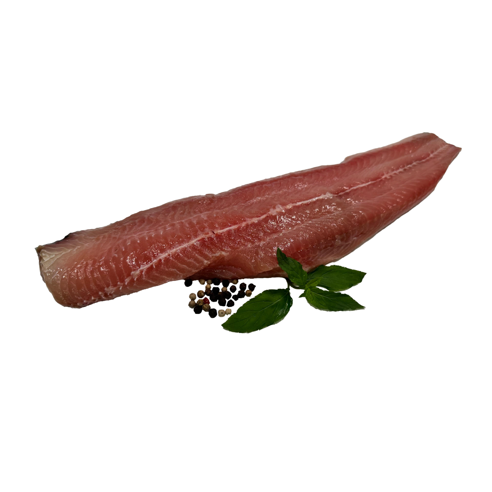 Premium Welsfilet ohne Haut